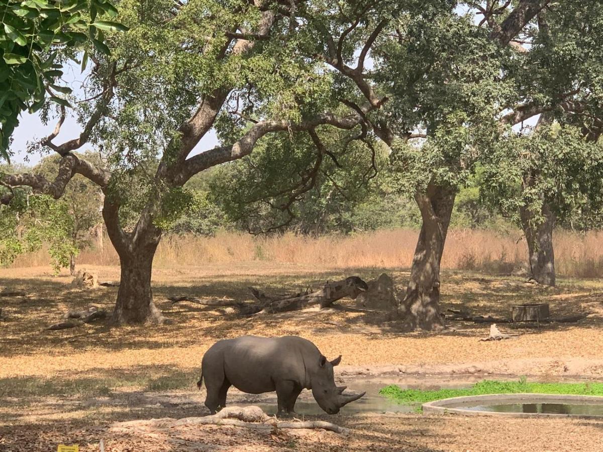 Pombo Kunda Villa Sanyang ภายนอก รูปภาพ