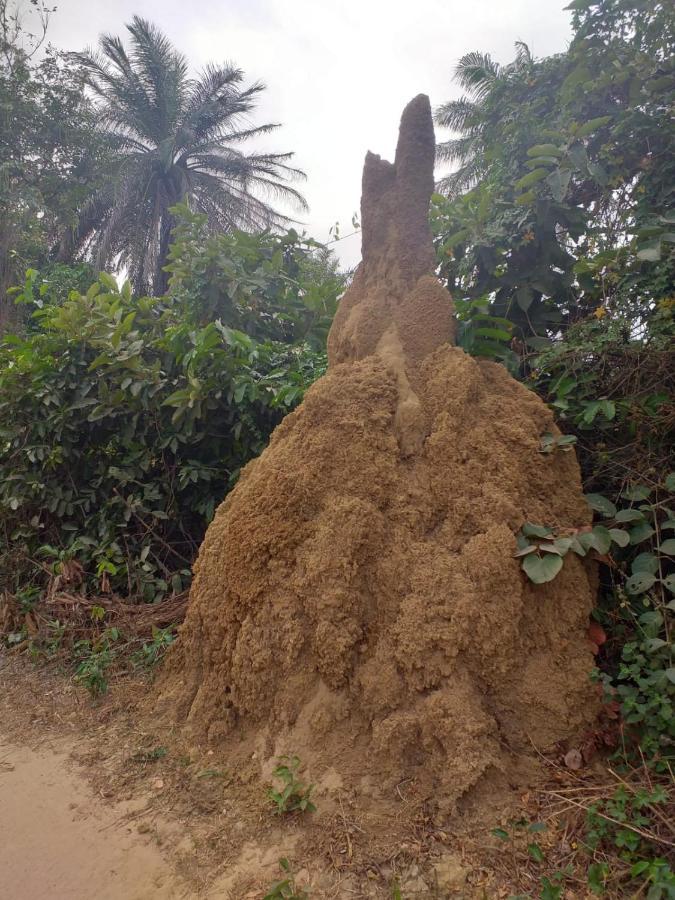 Pombo Kunda Villa Sanyang ภายนอก รูปภาพ
