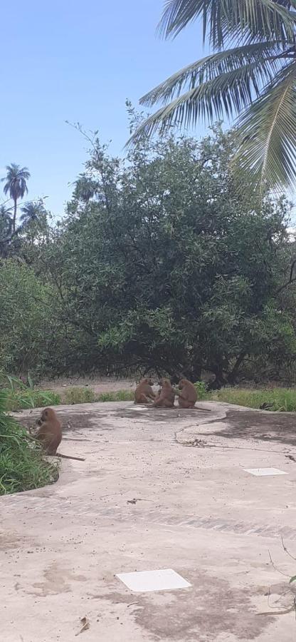 Pombo Kunda Villa Sanyang ภายนอก รูปภาพ