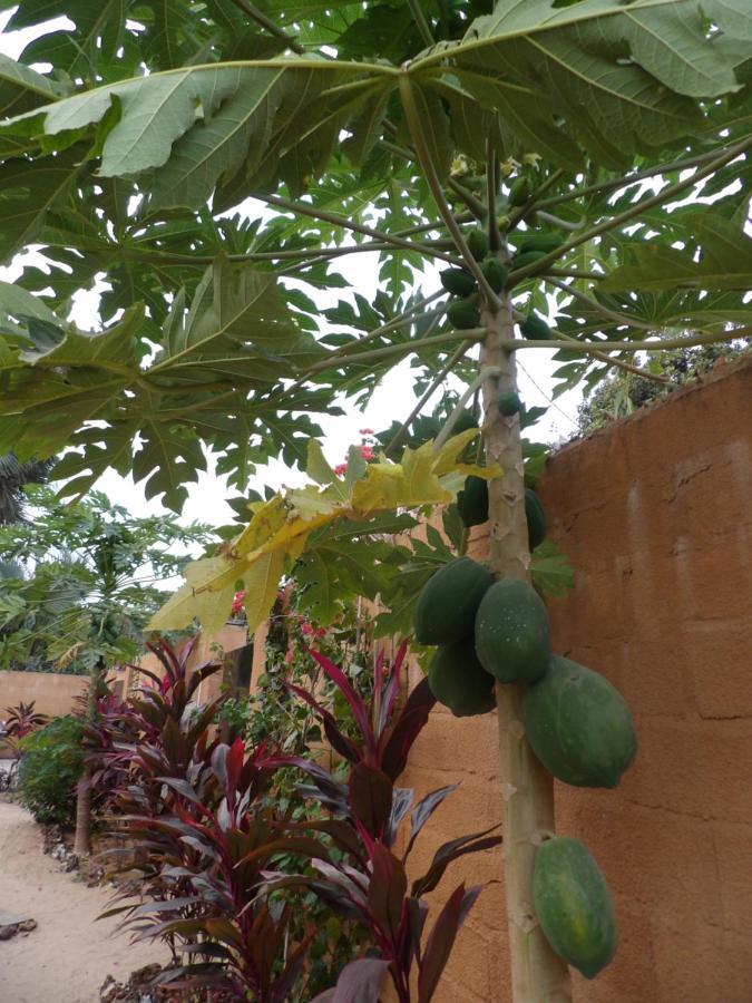 Pombo Kunda Villa Sanyang ภายนอก รูปภาพ