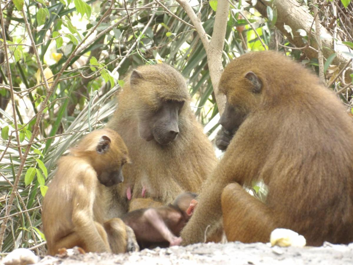 Pombo Kunda Villa Sanyang ภายนอก รูปภาพ